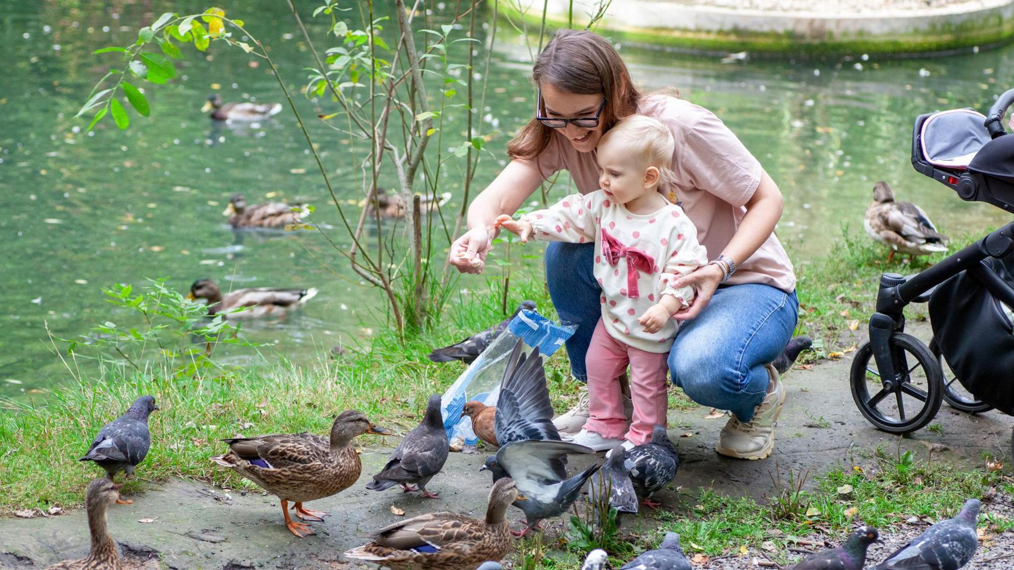 Woman with toddler feed ducks and birds at the side of a lake