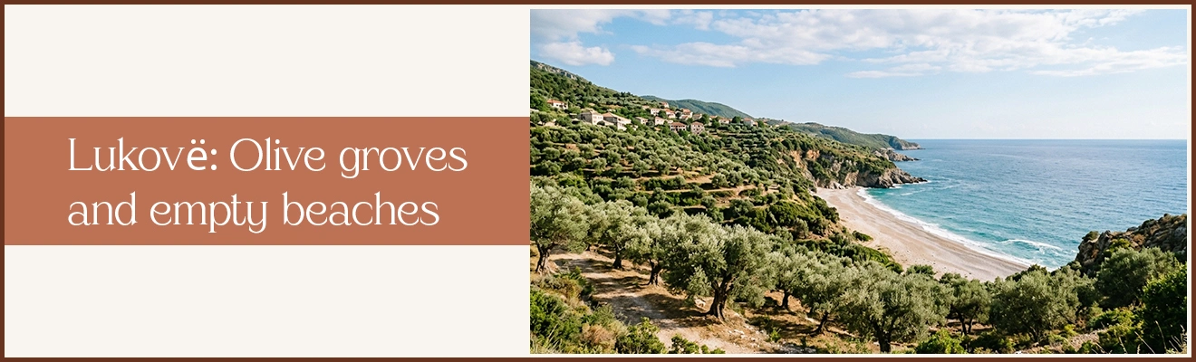 Lukovë: Olive Groves and Empty Beaches
