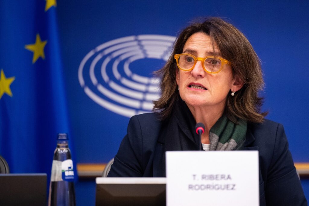 MEPs doubt Brussels can police Big Tech, as EU commission defends Digital Markets Act enforcement