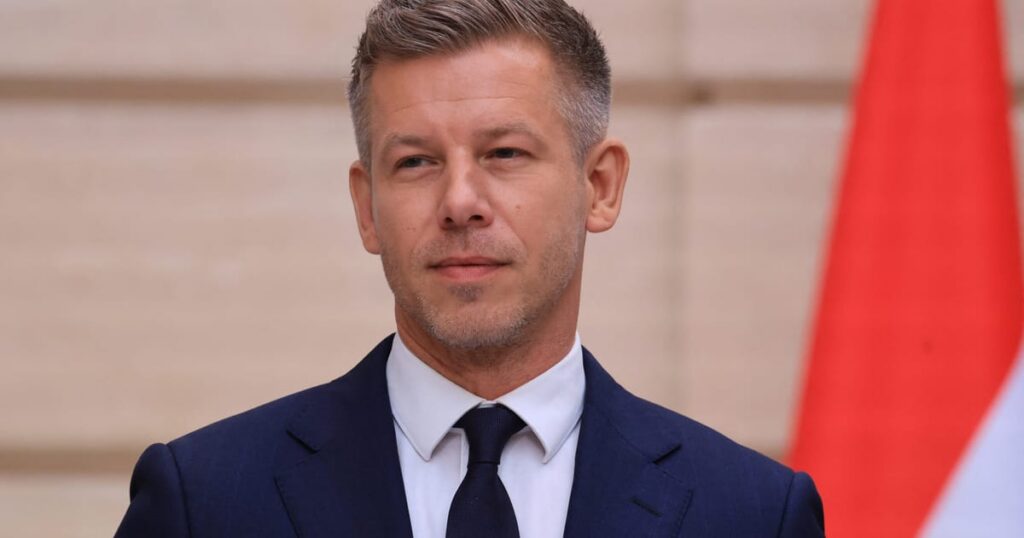 Magyar and Metsola discuss EU dropping rule of law procedure against Hungary