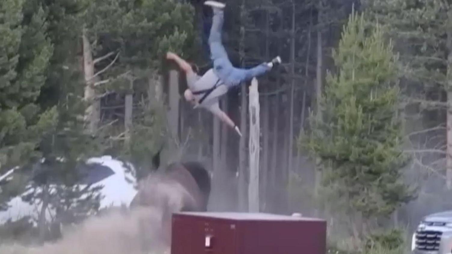 An elderly man hit by a bull bison in Yellowstone National Park is photographed several metres in the air