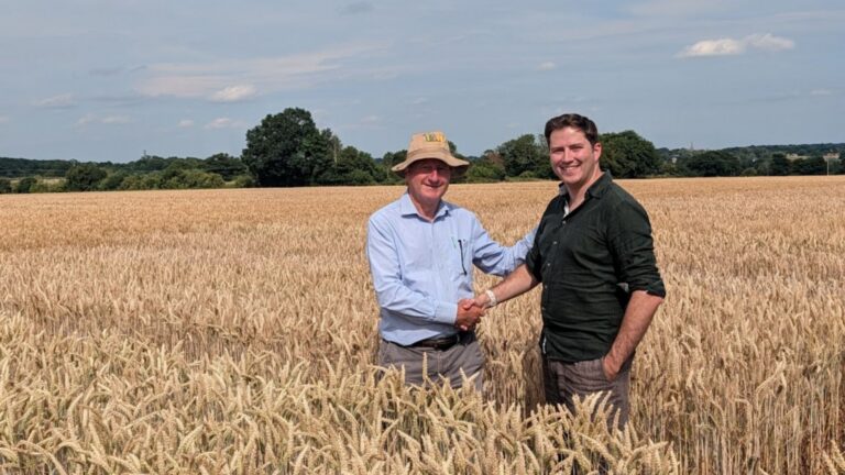 Wild Bio acquires F1 Seed to create Britain’s first independent precision-breeding wheat business