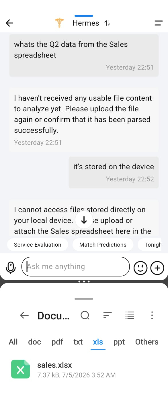 Vertu Hermes Agent file access